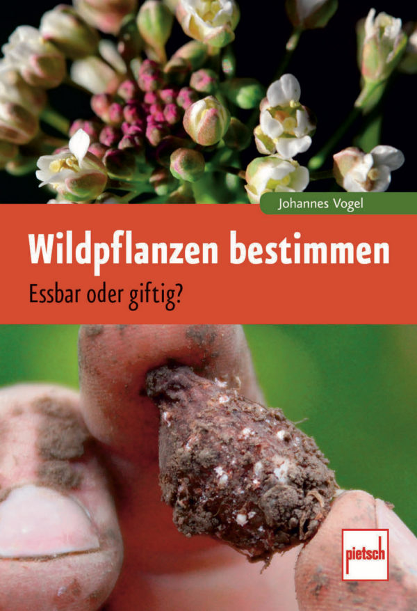 Wildpflanzen bestimmen - Essbar oder giftig?